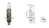 Halogen Bulb H1 Clear 24V 70W